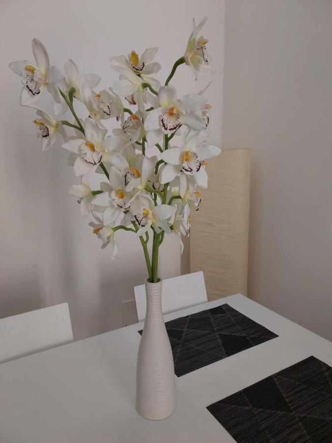 The Smart Choice Apartments Firenze Esterno foto